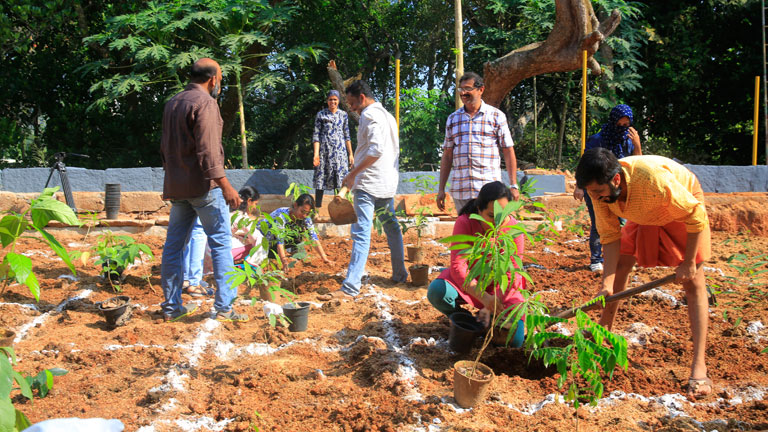 Planting process of our first CSR project