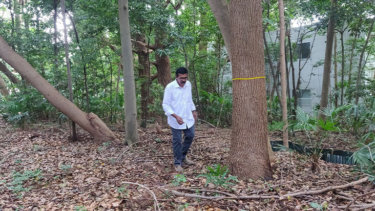 M.R.Hari visiting Miyawaki forest on Rocky Hill, Kanagawa Prefecture, Japan