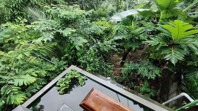 Fruit Vegetable Forest Top View