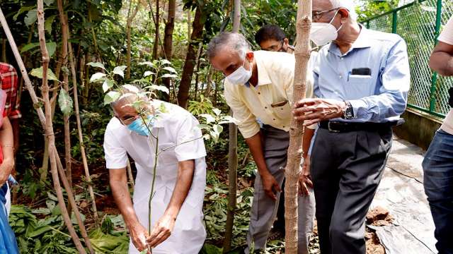 Minister A K Saseendran plants a camphor tree, Present- Prof V.K Damaodaran and Mr. Cherian Mathew