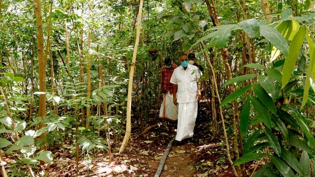 Minister A K Saseendran visiting miyawaki forest at the school