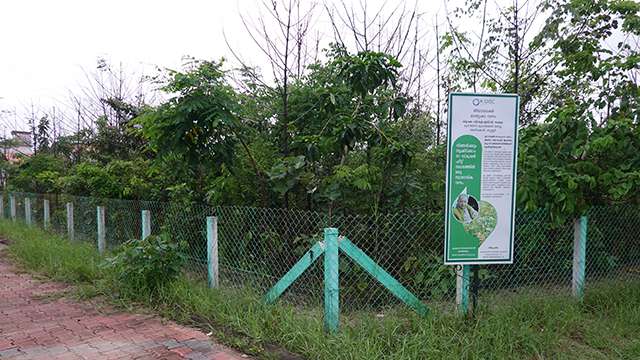 Munakkal Beach