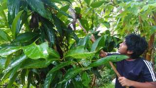 Pranav nurturing the plants