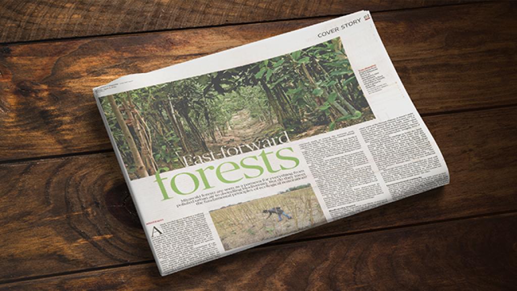 The Hindu article on Miyawaki forests by Nikhil Eapen