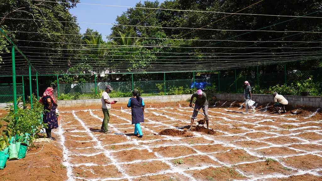 Land preparation phase for Miyawaki forest at Viyyur, Thrissur