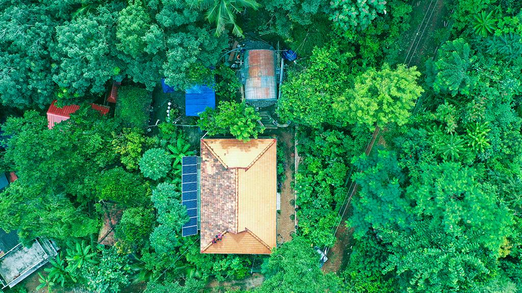 Aerial view of Miyawaki forest at Puliyarakonam