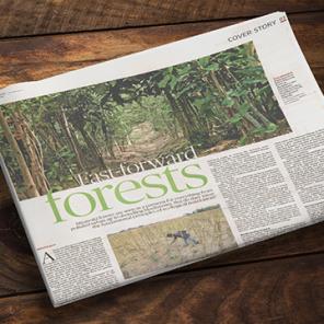 The Hindu article on Miyawaki forests by Nikhil Eapen