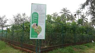 Miyawaki Forest at Bekal Beach Park