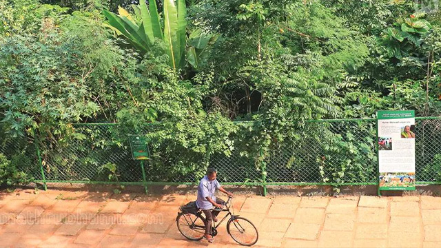 സ്വാഭാവിക വനമില്ലാത്ത ജില്ലയെന്നത് പഴങ്കഥ; സംസ്ഥാനത്ത് ഏറ്റവും കൂടുതല്‍ മിയാവാക്കി വനം ആലപ്പുഴയിൽ