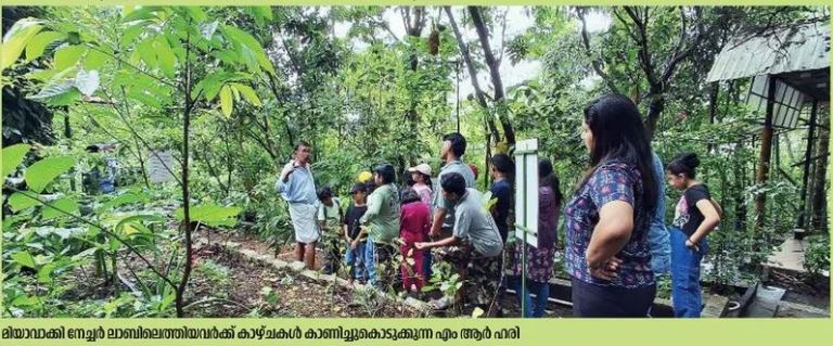 പച്ചപ്പിന്റെ തണുപ്പിൽ  പുതഞ്ഞ്