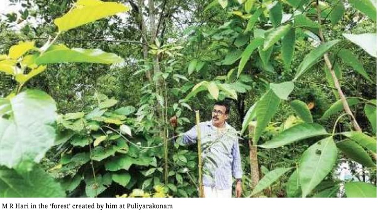 A Biodiversity Haven: From Parched Land to one Bursting with Life