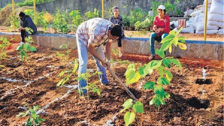 A forest in the heart of Thiruvananthapuram