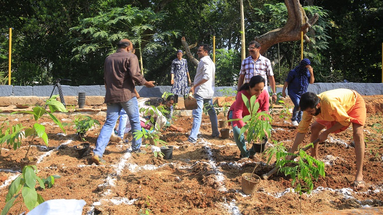 Capital set to get its 1st Miyawaki forest