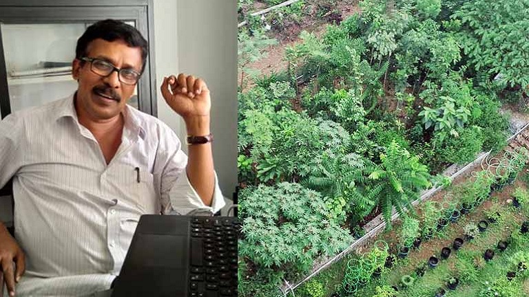 How to grow a 100-year-old tree in 15 years, meet Kerala's Miyawaki