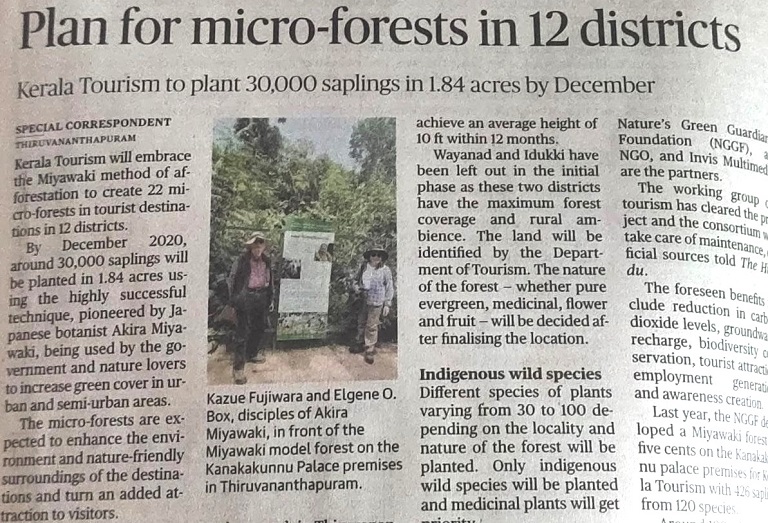 Plan for Micro-Forests In 12 Districts