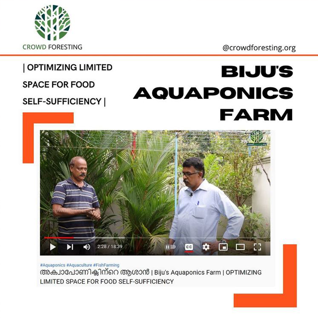 Biju's Aquaponics Farm
