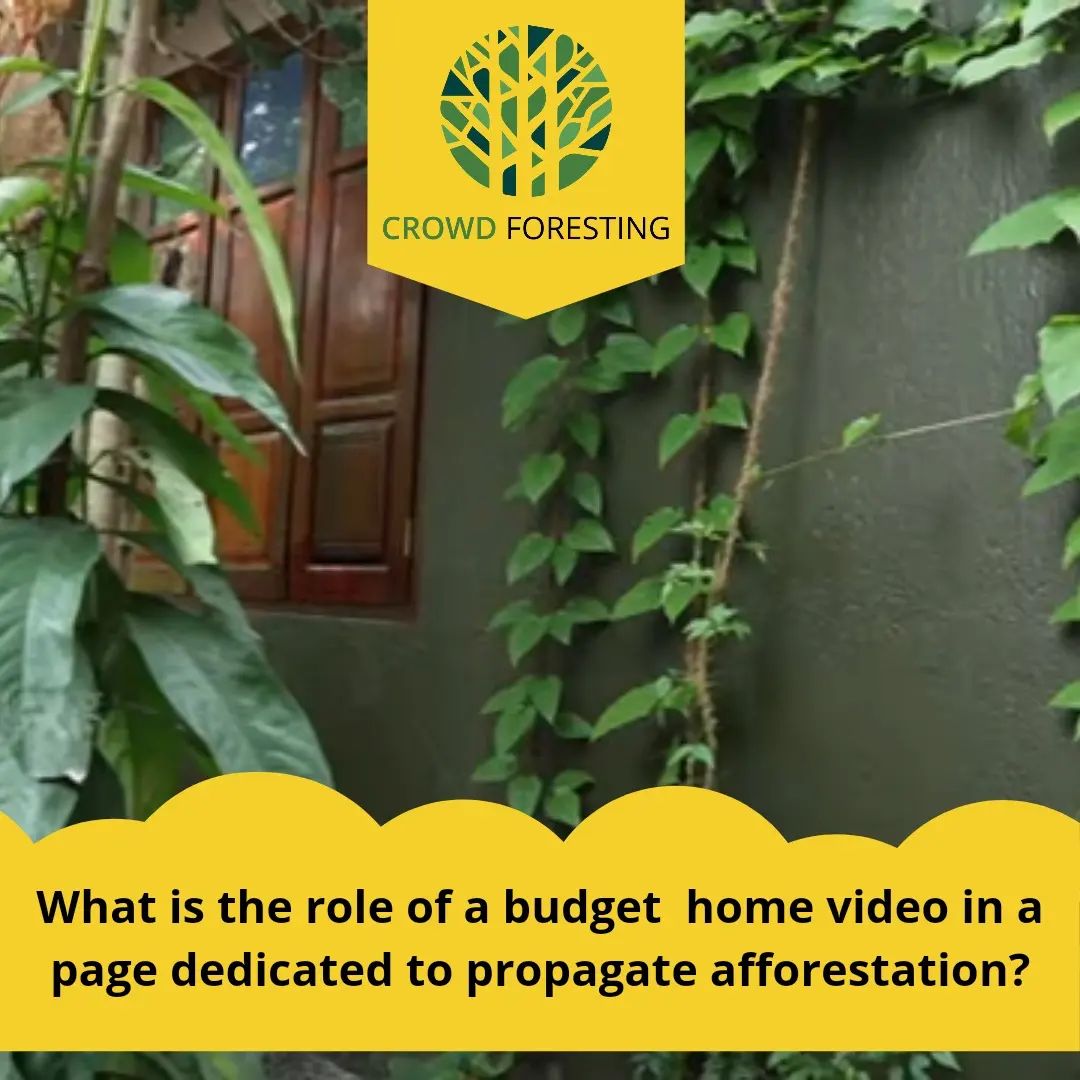 Constructing a Cost-Effective, Nature-Friendly House using ferrocement