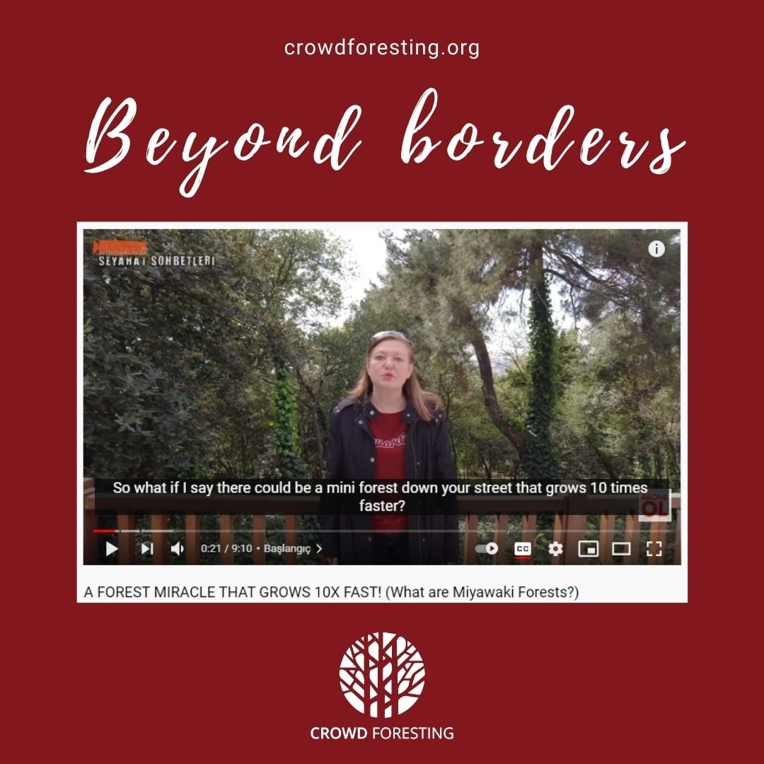 Crowdforesting featured in Travel Talks