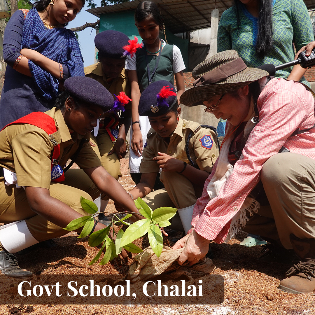Dr Kazue Fujiwara and Students Planting Miyawaki forest at Government School for Girls, Chalai