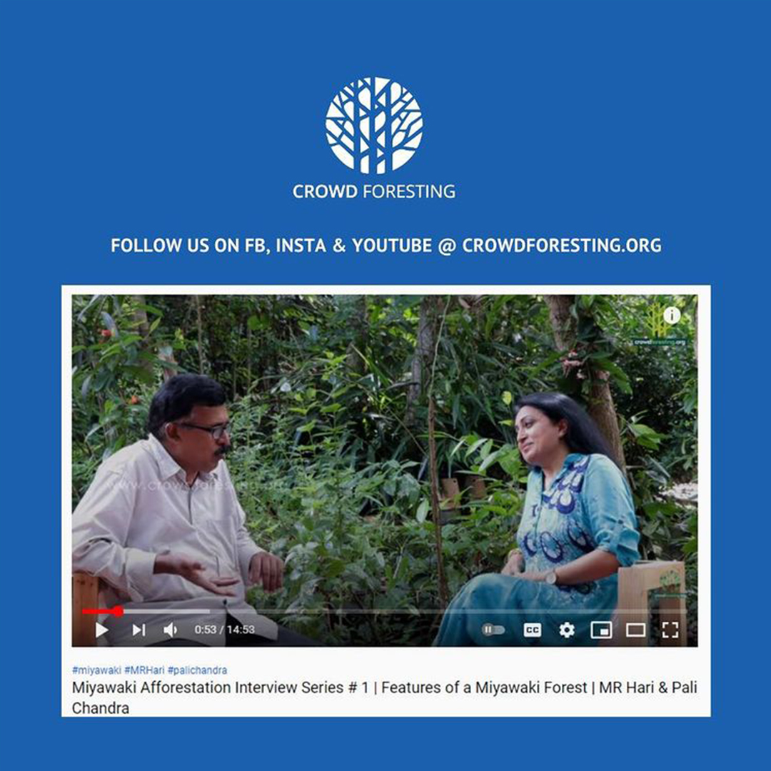 Pali Chandra-M. R. Hari interview: Features of a Miyawaki Forest