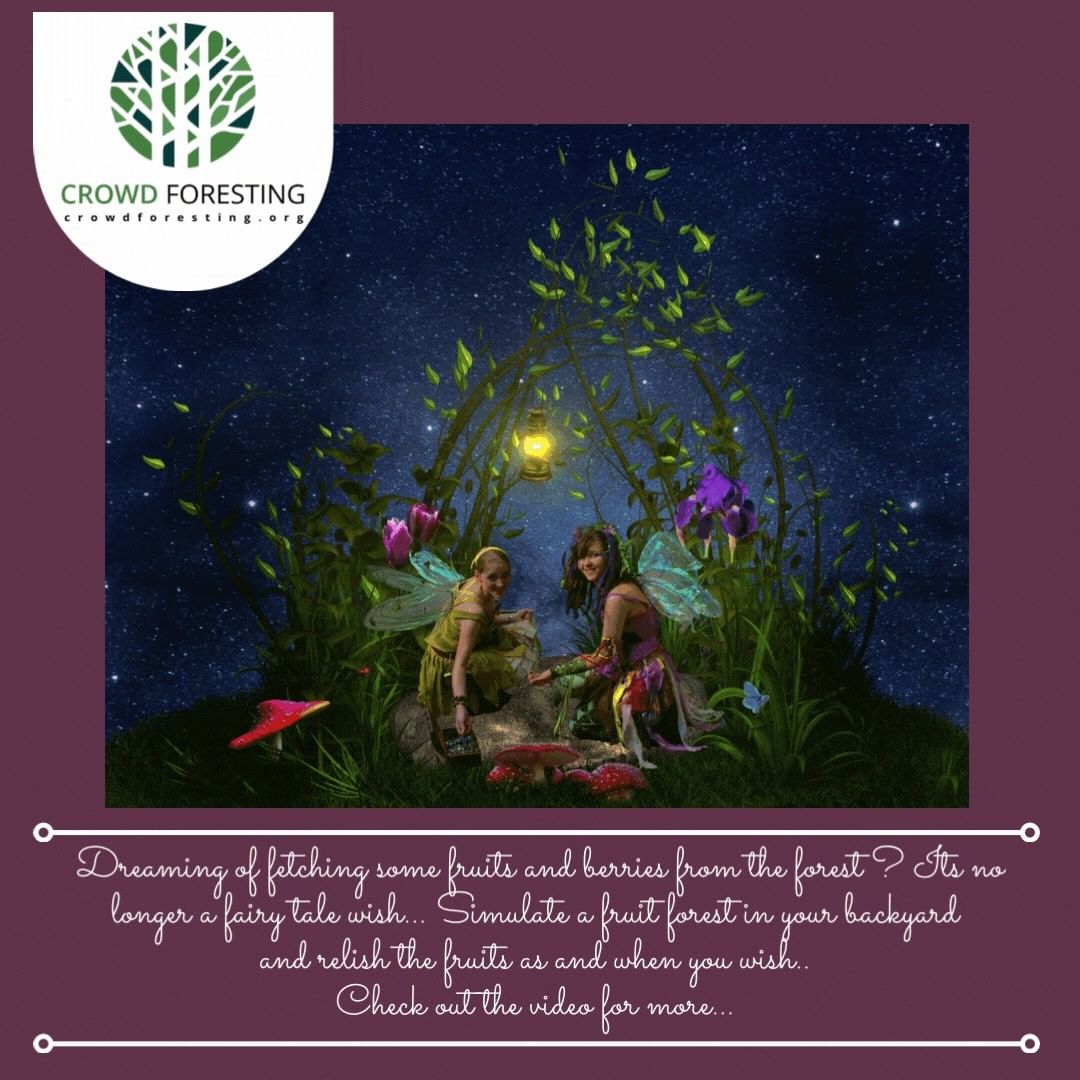 FRUIT FOREST USING MIYAWAKI METHOD