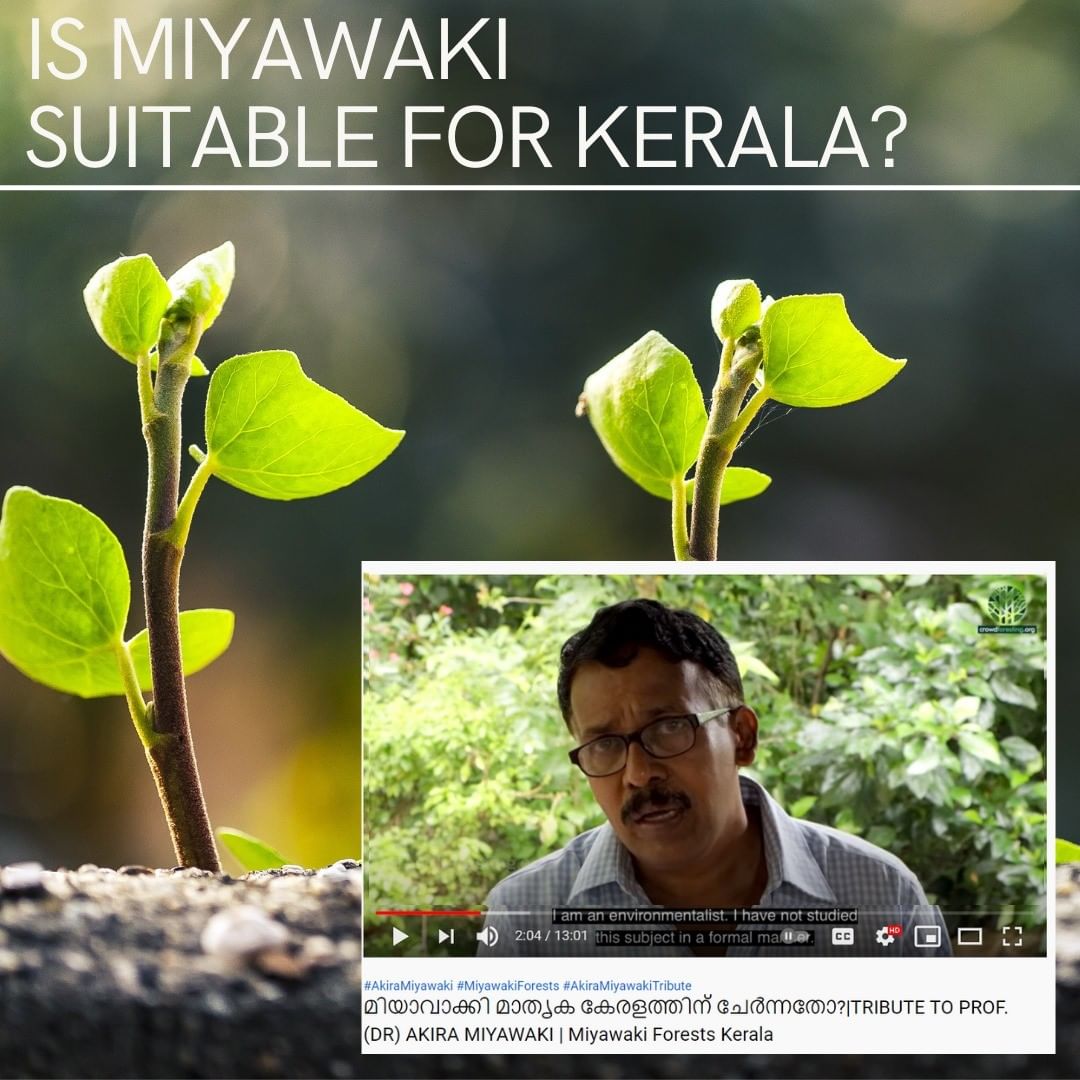 Is Miyawaki suitable for Kerala-Tribute to Professor (Dr) Akira Miyawaki
