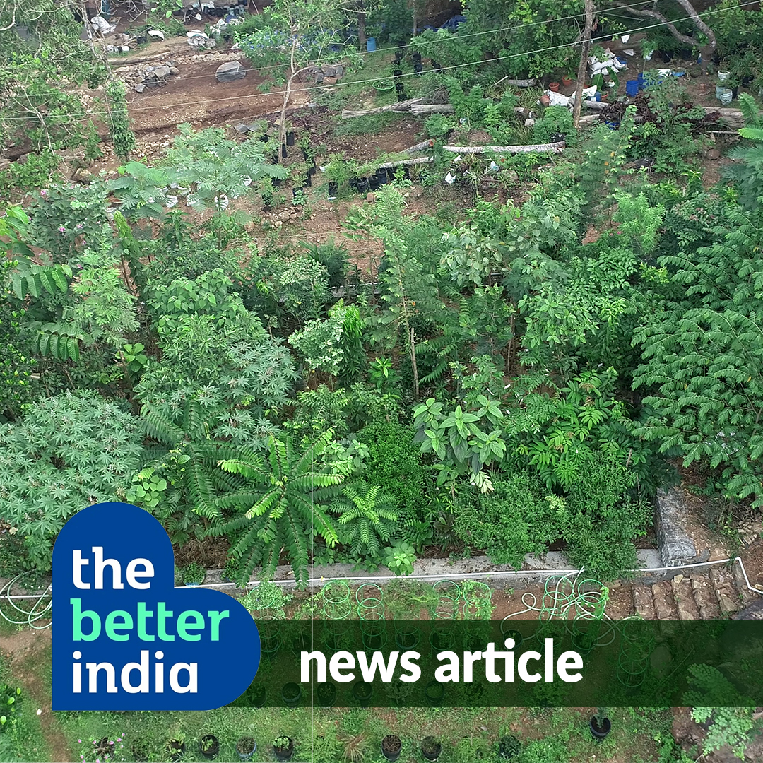 Kerala Man Grows 400-Tree Forest in 3 Cents of Land!