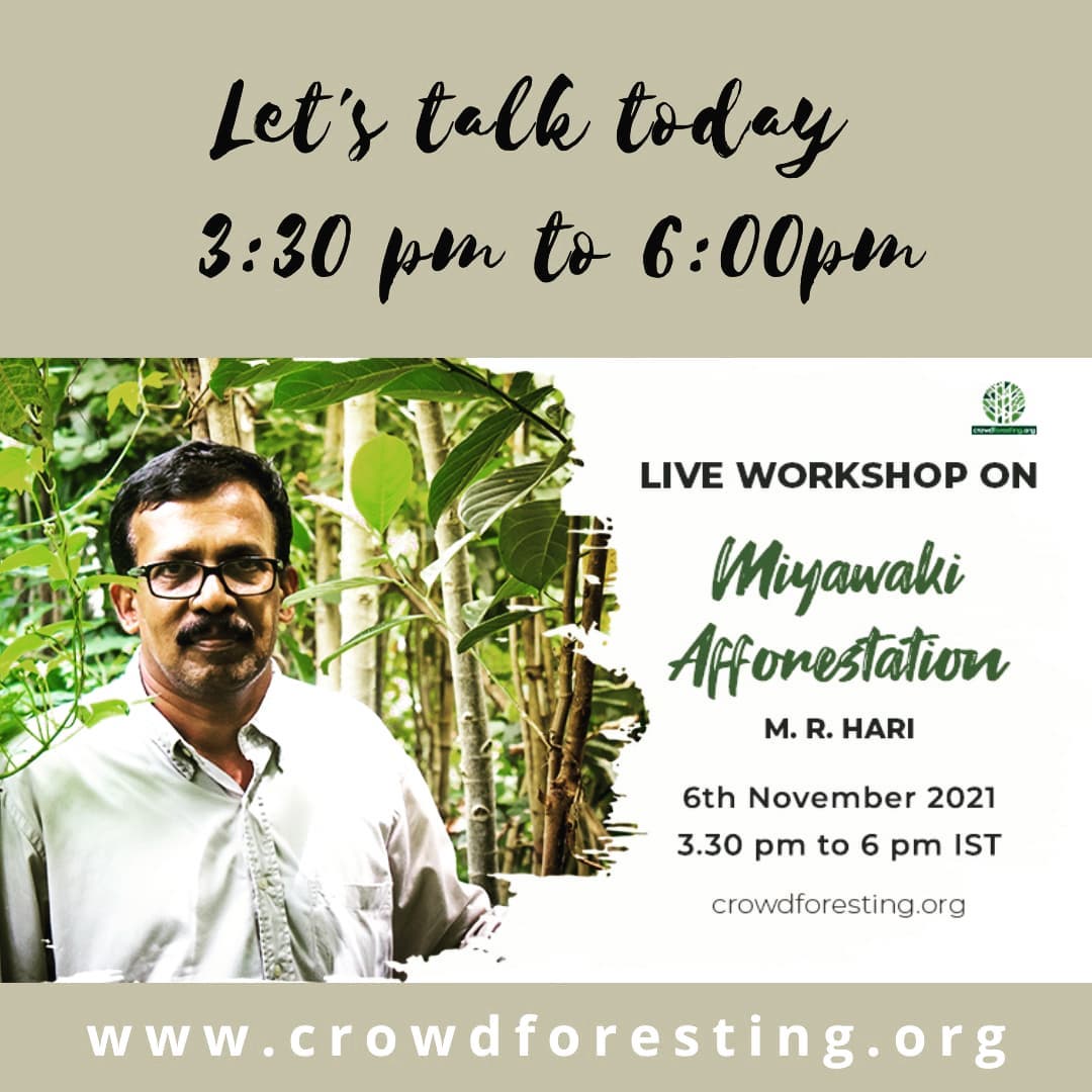Miyawaki Afforestation English Workshop