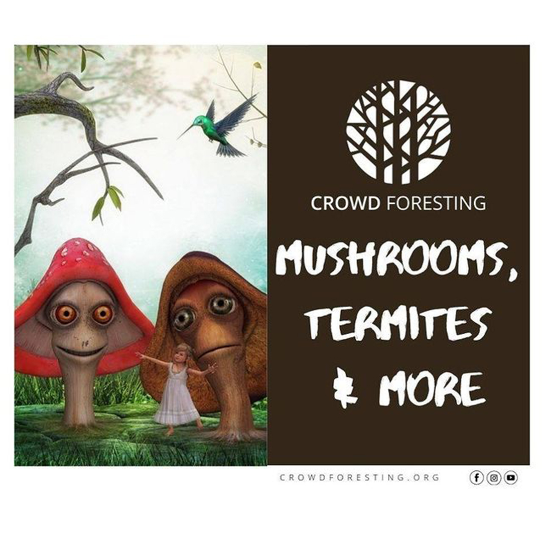 M. R. Hari talks about mushrooms at his Puliyarakonam plot and more
