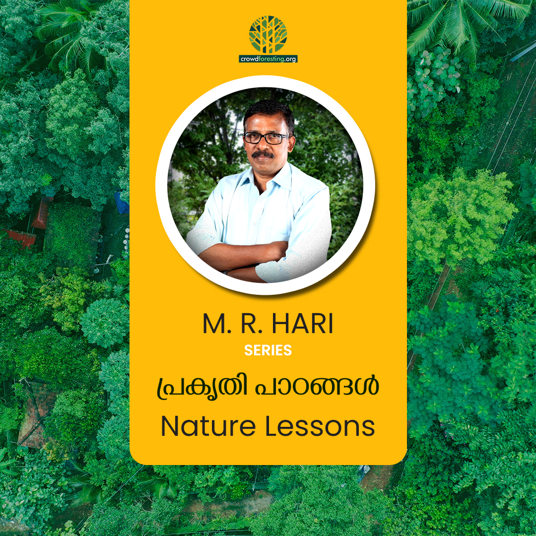 Nature Lessons - M. R. Hari Web Series