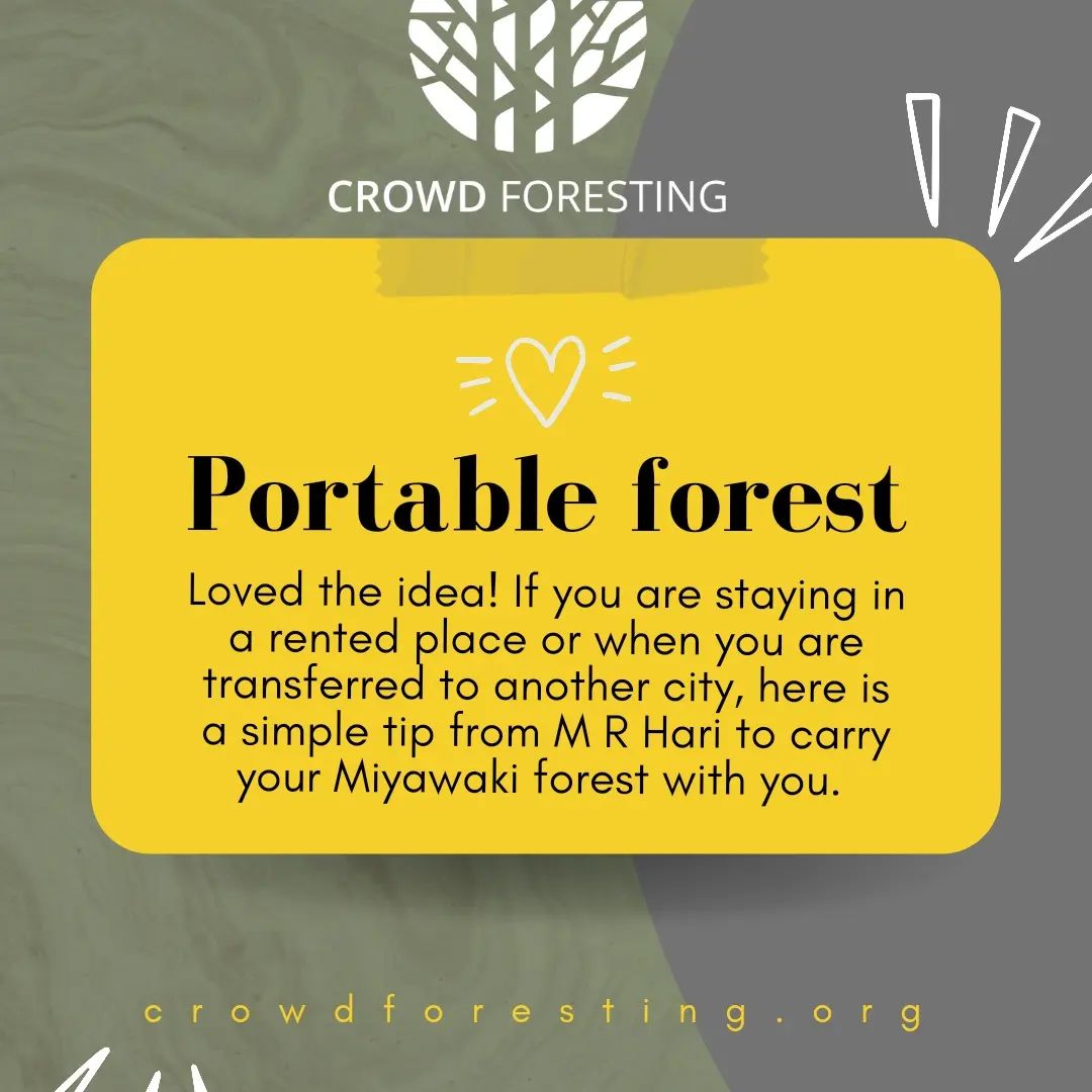 air pots and portable forest