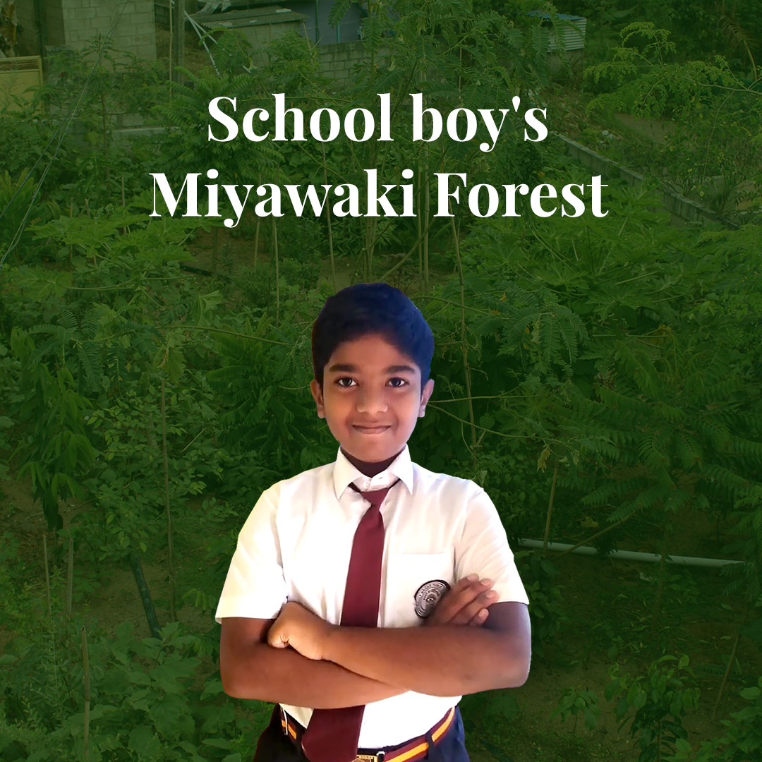 Pranav's Miyawaki Fruit Forest