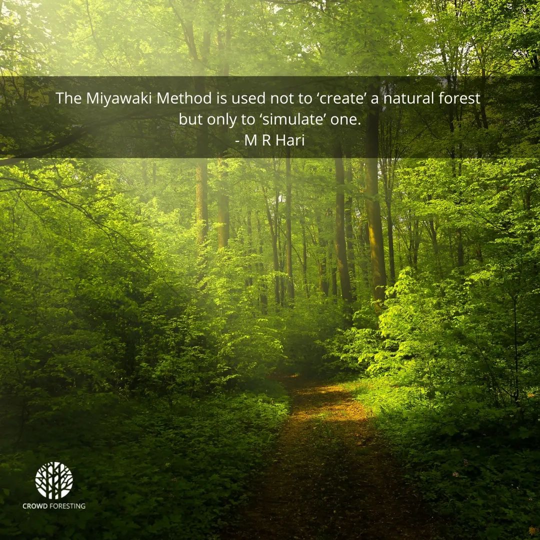 Reply to The Hindu article on Miyawaki