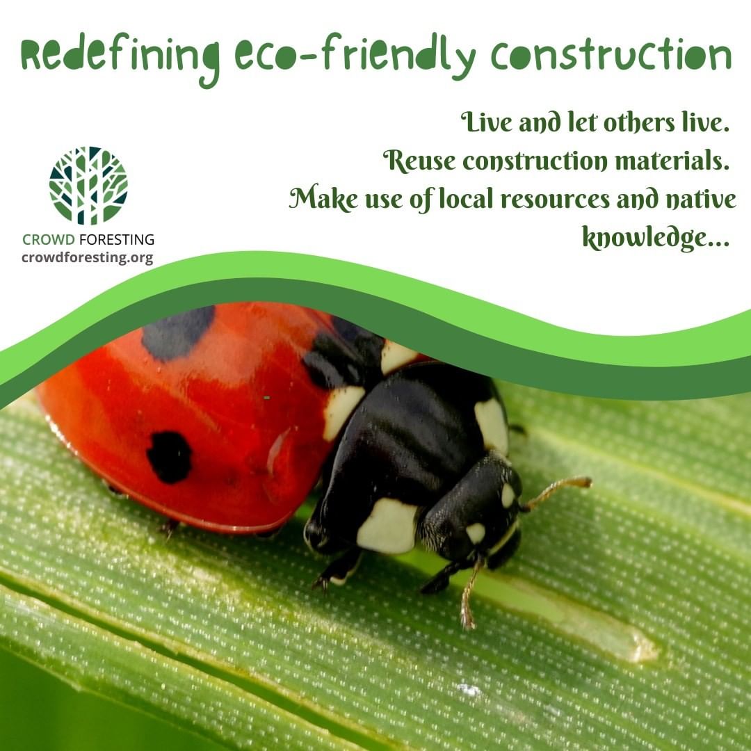Taking Small Steps To Become Environment Friendly