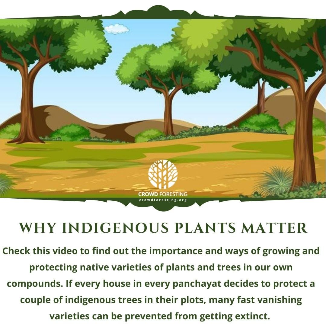 Importance of Indigenous Plants