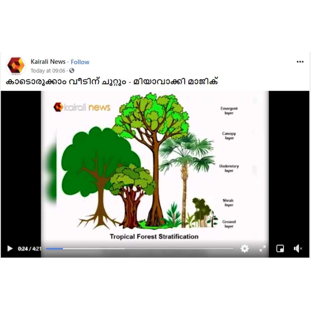 കാടൊരുക്കാം വീടിന് ചുറ്റും - മിയാവാക്കി മാജിക് Kairali News
