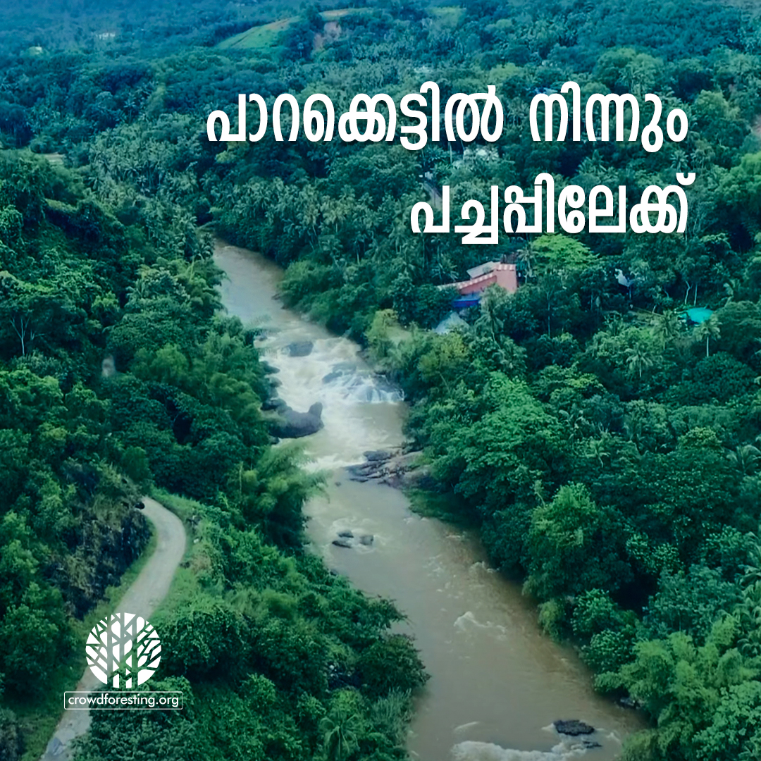 പാറക്കെട്ടിൽ നിന്ന് പച്ചപ്പിലേക്ക്  Story of Puliyarakonam