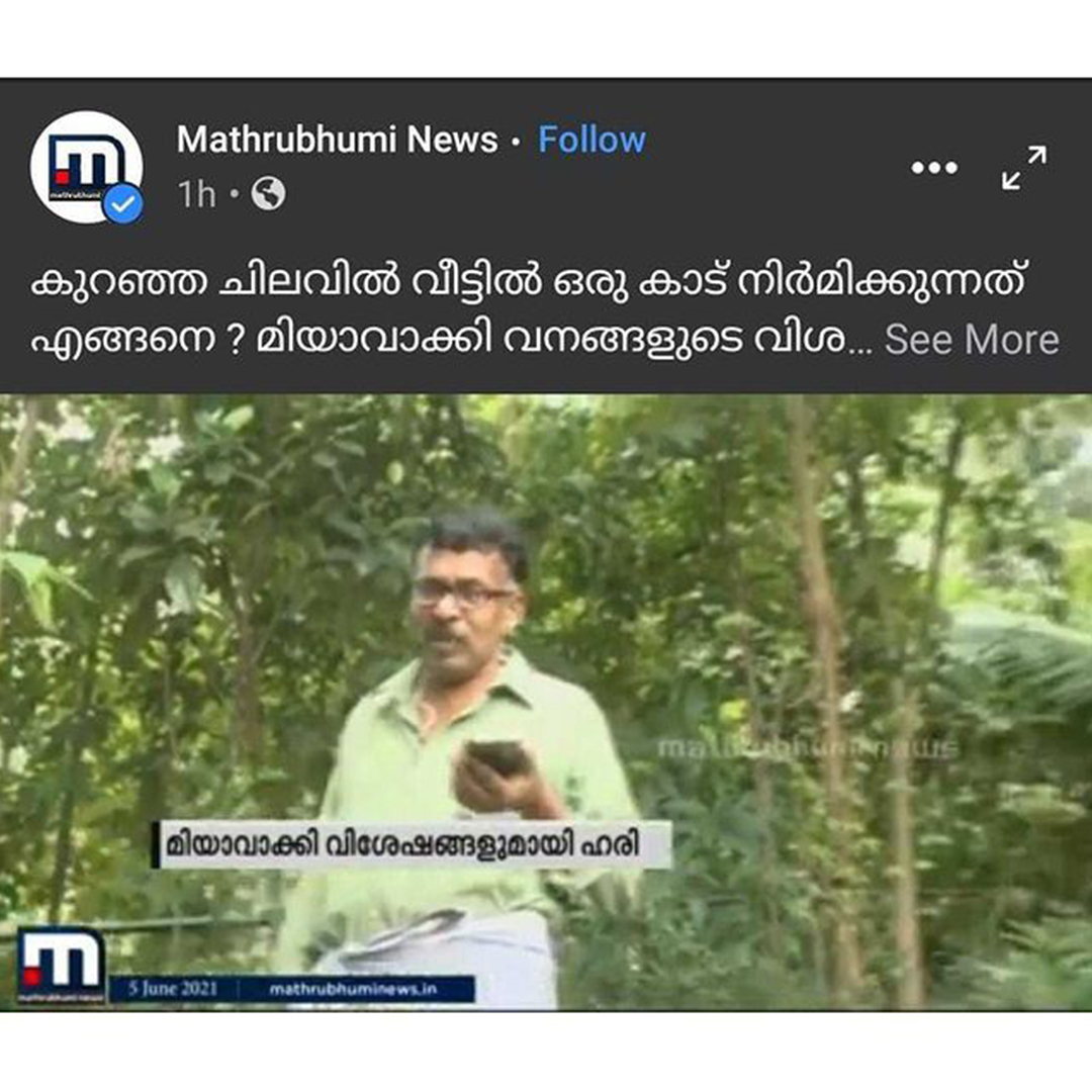 മിയാവാക്കി വനങ്ങളുടെ വിശേഷവുമായി ഹരി  മാതൃഭൂമി  ന്യൂസിൽ